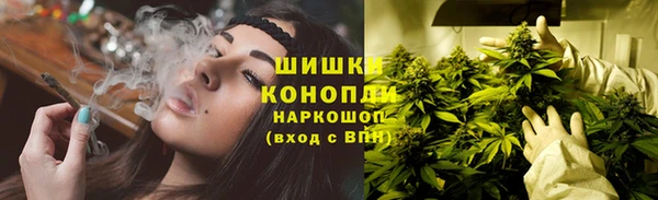 амф Аркадак