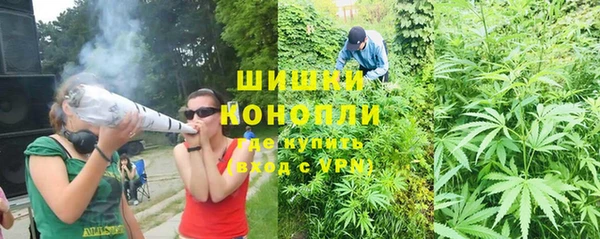 амф Аркадак
