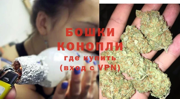 амф Аркадак