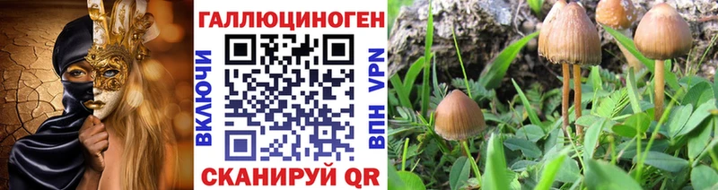 Псилоцибиновые грибы Psilocybine cubensis  продажа наркотиков  Волгодонск 